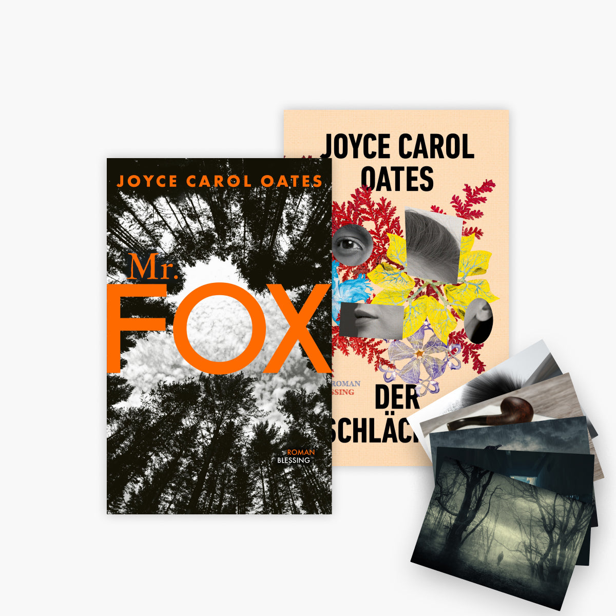 Mr. Fox + Der Schlächter + 1 exklusives Postkartenset