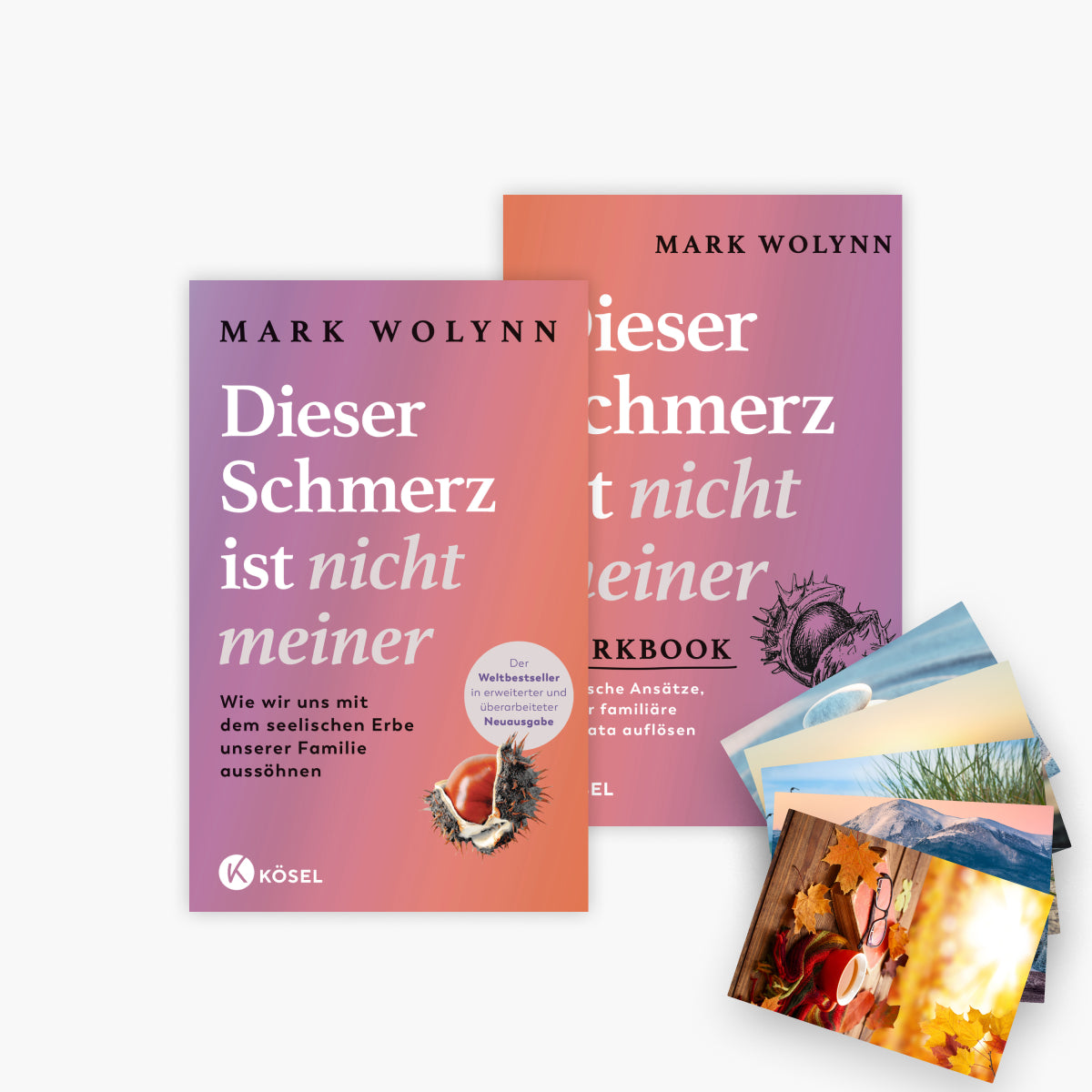 Dieser Schmerz ist nicht meiner + Workbook + 1 exklusives Postkartenset