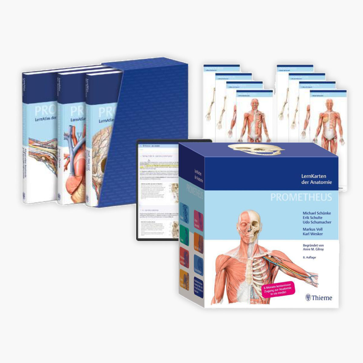PROMETHEUS LernPaket Anatomie + LernKarten der Anatomie + 1 exklusives Postkartenset