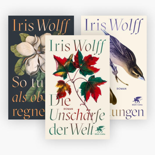 Die Unschärfe der Welt / So tun, als ob es regnet / Lichtungen + 1 exklusives Postkartenset