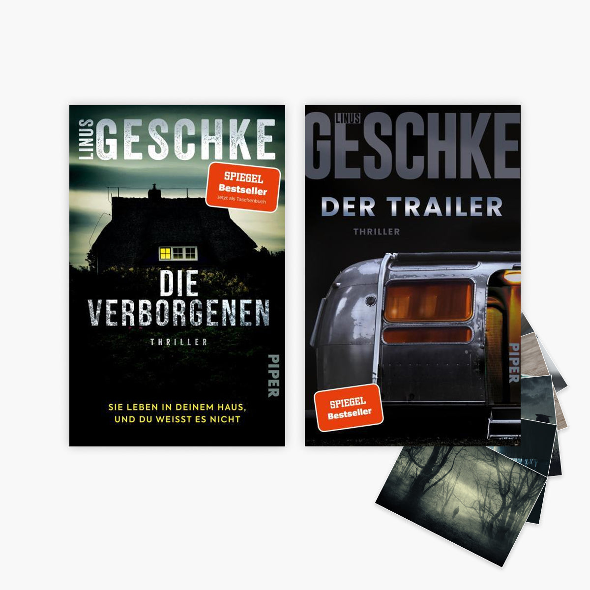Die Verborgenen + Der Trailer + 1 exklusives Postkartenset