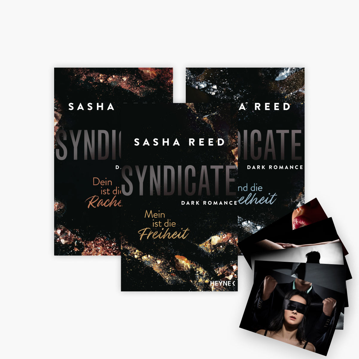 Die Syndicate-Reihe Band 1-3 plus 1 exklusives Postkartenset