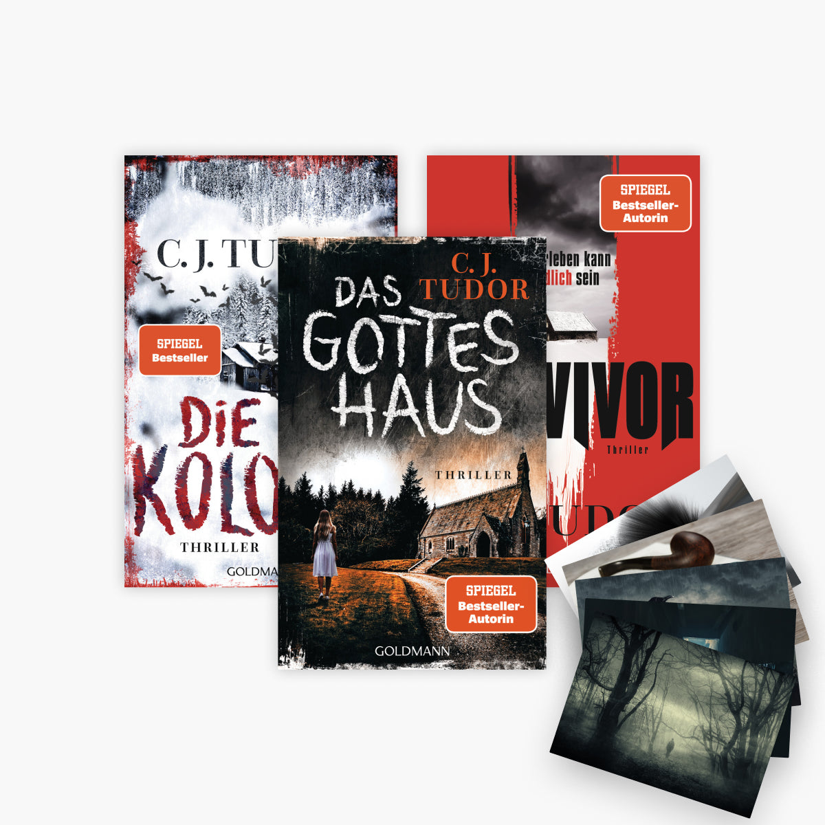 Das Gotteshaus + Die Kolonie + Survivor + 1 exklusives Postkartenset