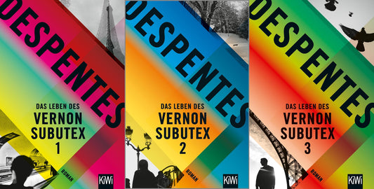 Das Leben des Vernon Subutex Band 1-3 plus 1 exklusives Postkartenset