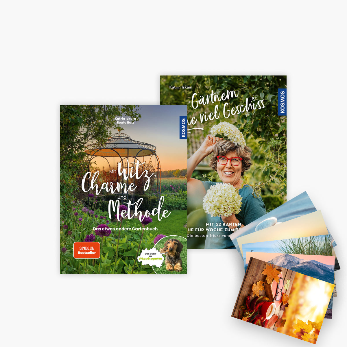 Mit Witz, Charme und Methode + Kartenset + 1 exklusives Postkartenset