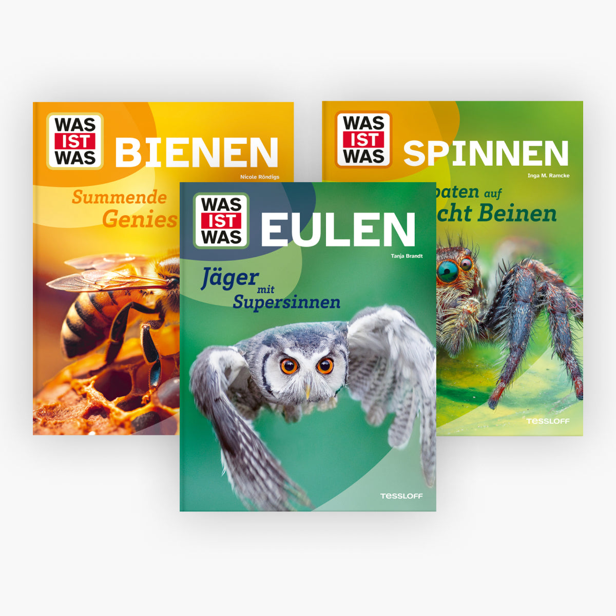 WIW: Eulen + Bienen + Spinnen im Set + 1 exklusives Postkartenset