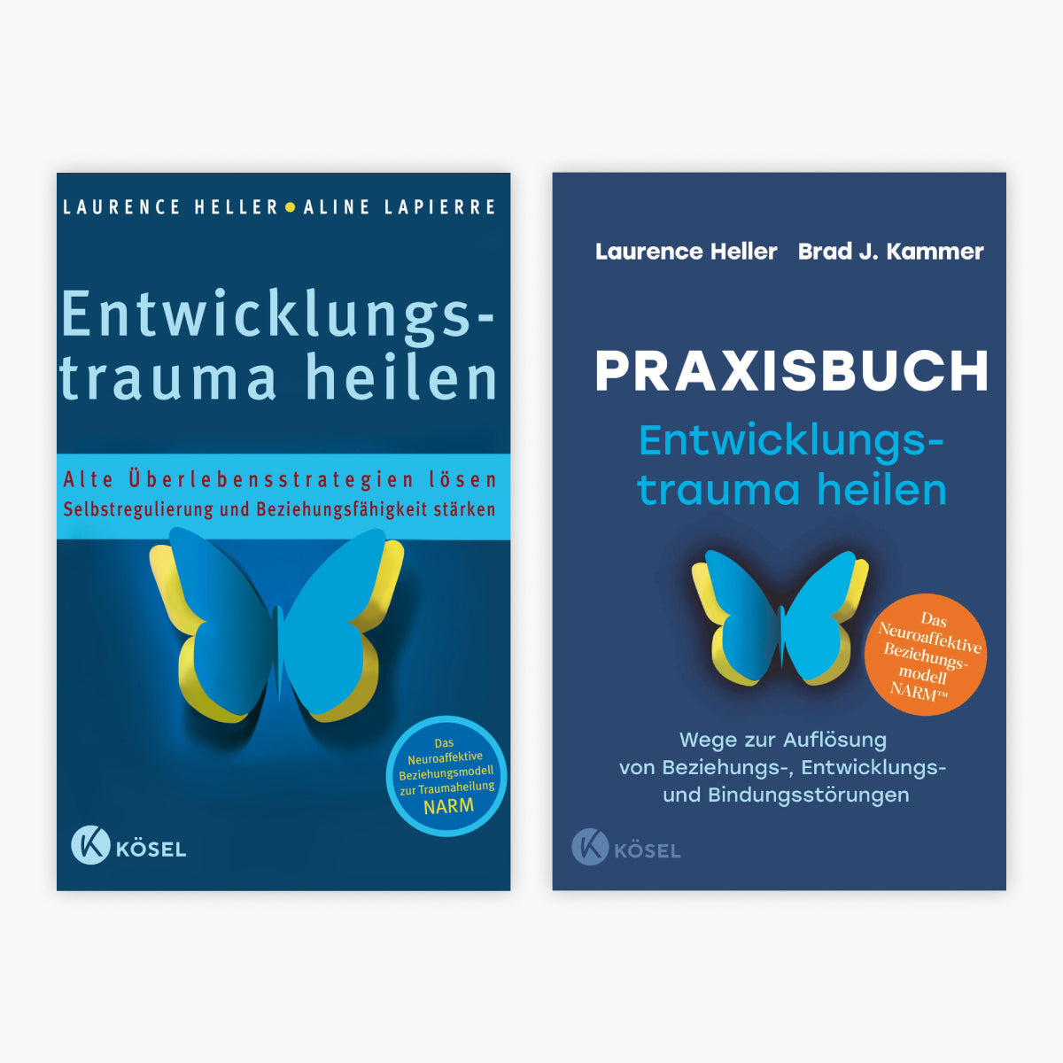 Entwicklungstrauma heilen + Praxisbuch + 1 exklusives Postkartenset