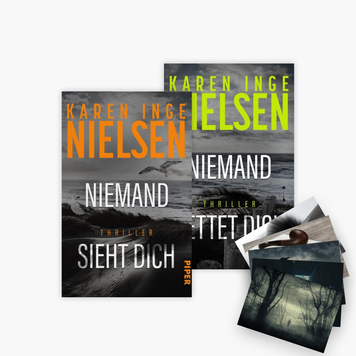 Die Grenzland-Thriller-Reihe Band 2+3 plus 1 exklusives Postkartenset
