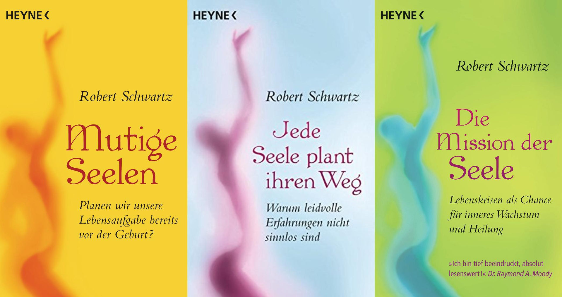 jede seele plant ihren weg 3 Titel der Seele von Robert Schwartz im Set + 1 exklusives Postkarten –  Buchserien.de