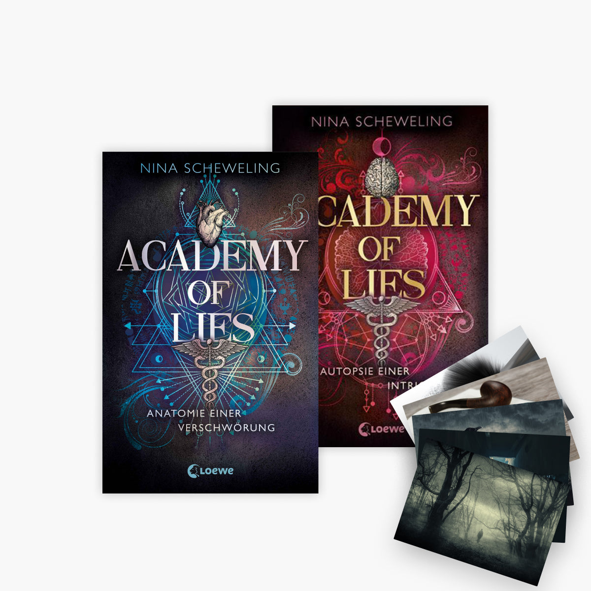Die Academy of Lies - Reihe Band 1+2 plus 1 exklusives Postkartenset
