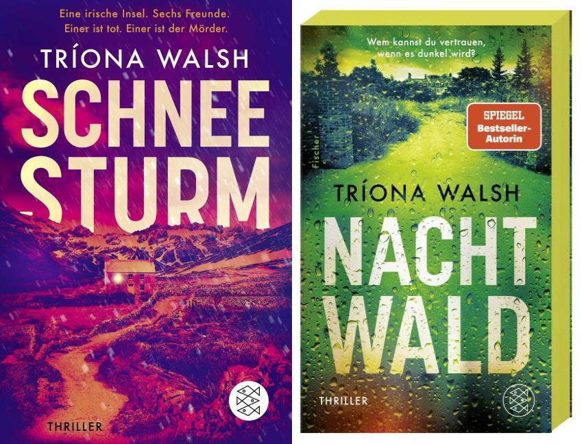 Schneesturm + Nachtwald + 1 exklusives Postkartenset