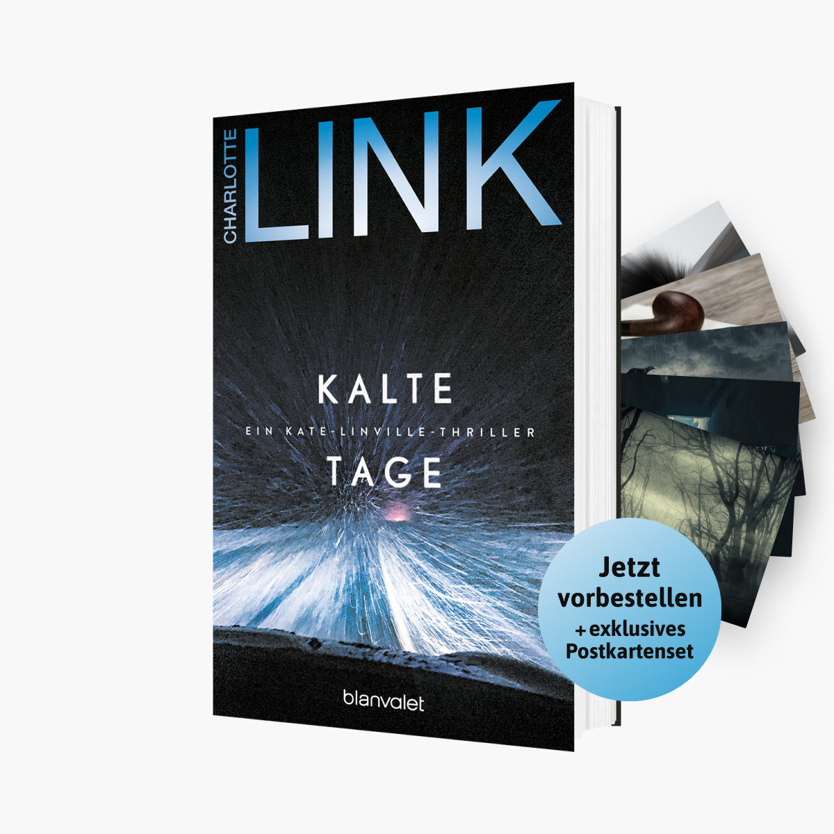 Der 6. Band der Kate Linville-Reihe: Kalte Tage + 1 exklusives Postkartenset