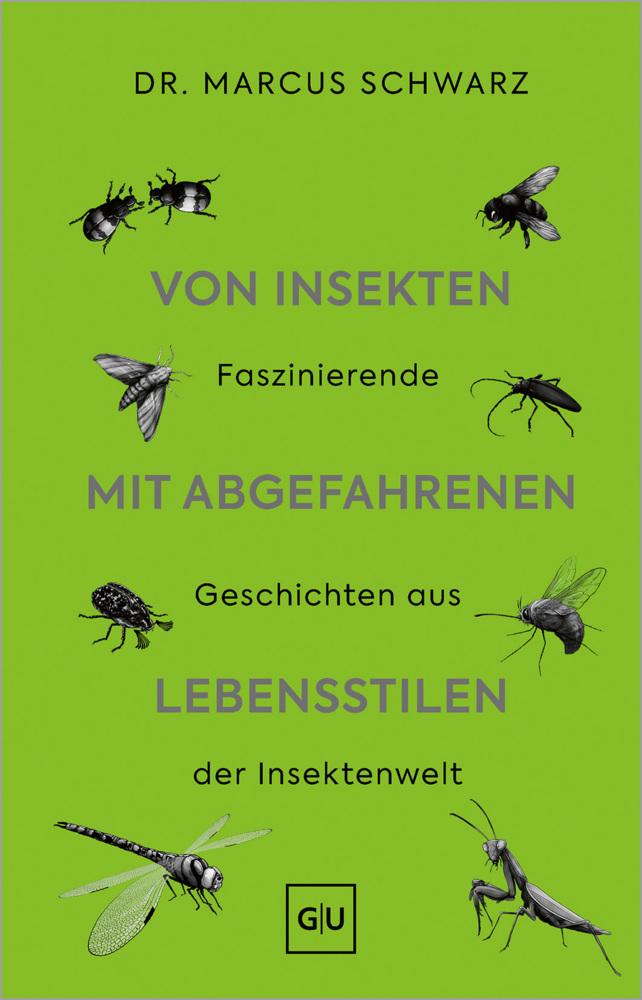 Von Insekten mit abgefahrenen Lebensstilen: Was du noch nicht über unsere Insekten wusstest – Faszinierende Einblicke in die Welt der Käfer, Fliegen & Schaben
