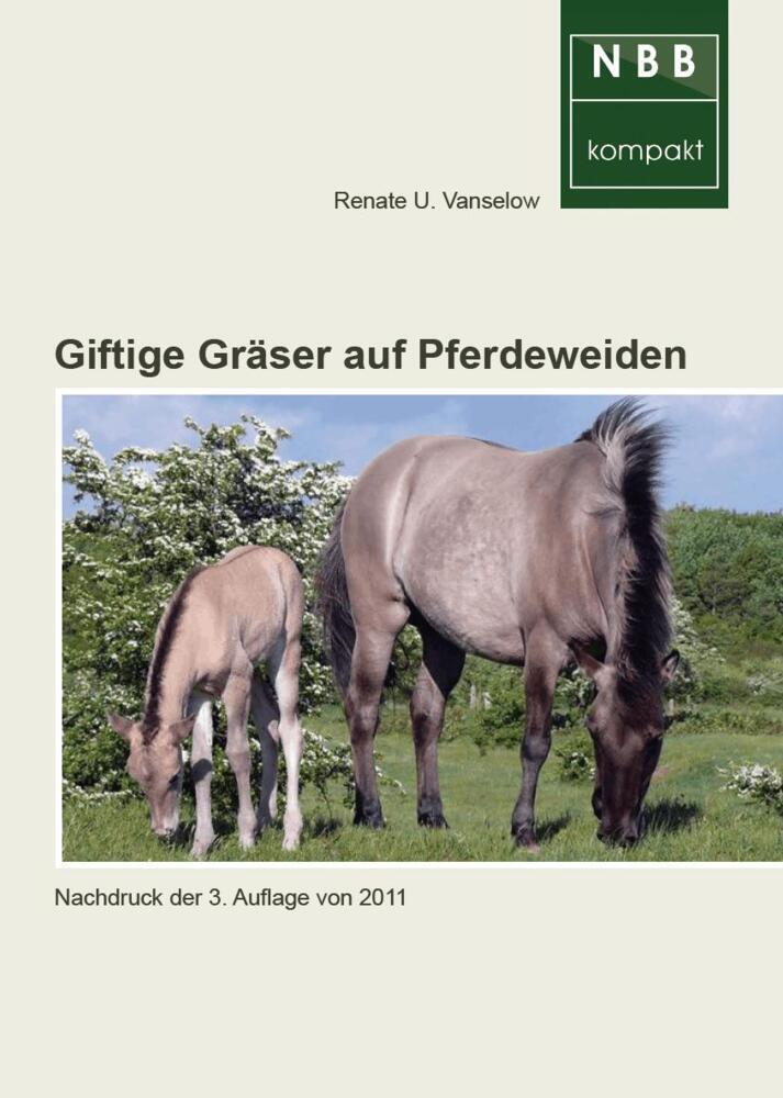Giftige Gräser auf Pferdeweiden