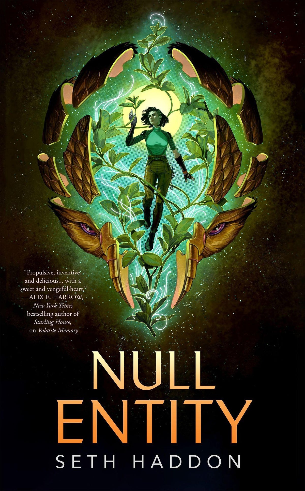 Null Entity