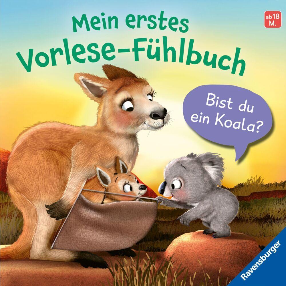 Mein erstes Vorlese-Fühlbuch - Bist du ein Koala?