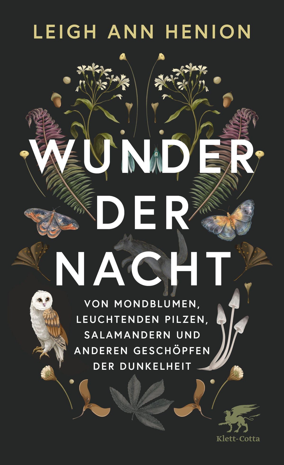 Wunder der Nacht: Von Mondblumen, leuchtenden Pilzen, Salamandern und anderen Geschöpfen der Dunkelheit