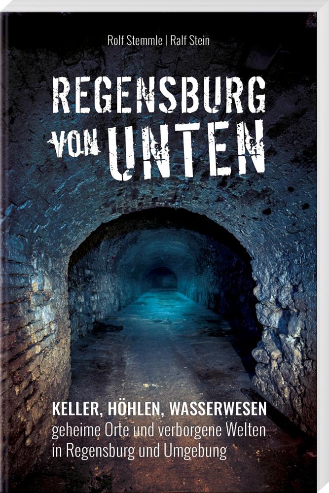 Regensburg von unten