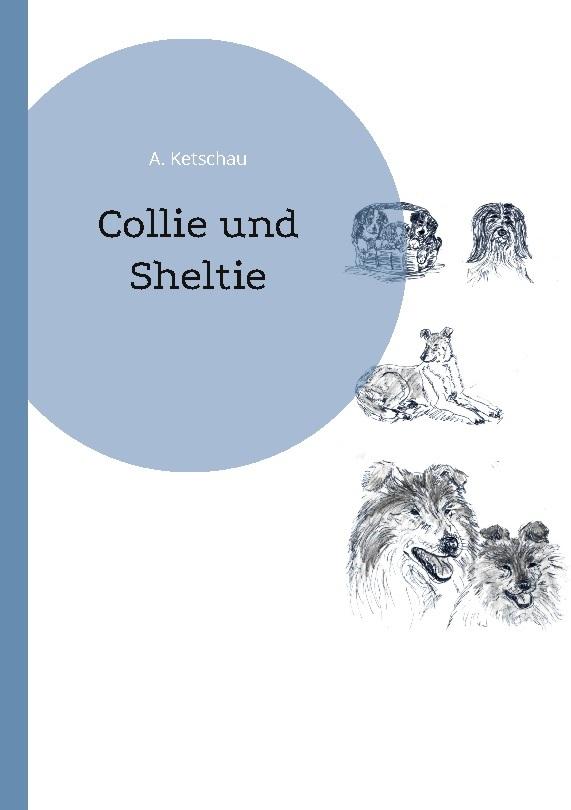 Collie und Sheltie