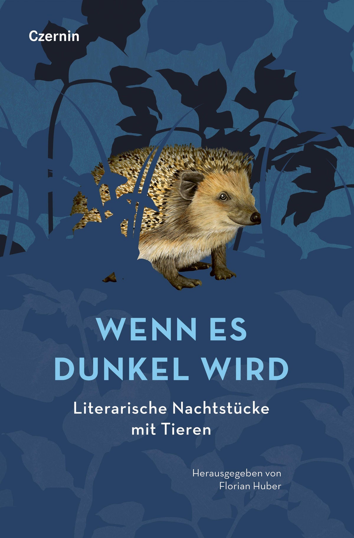 Wenn es dunkel wird