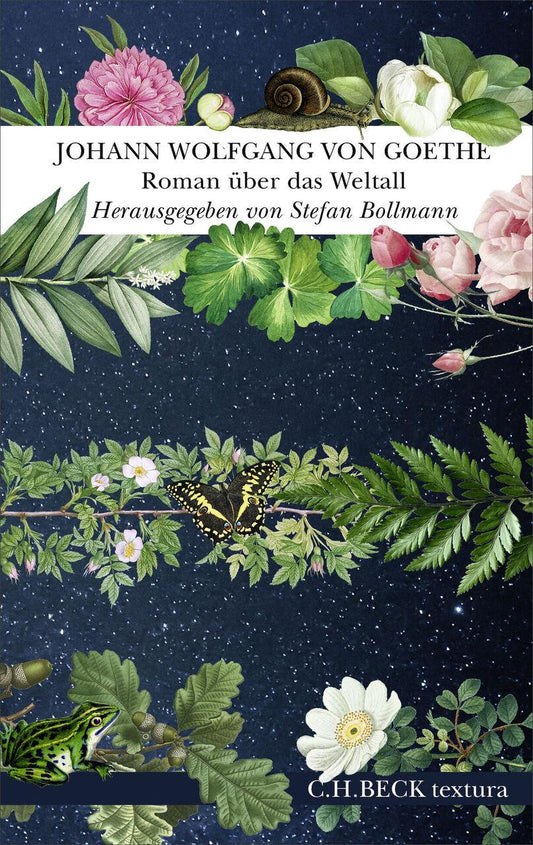 Goethe, Johann Wolfgang von/Roman über das Weltall