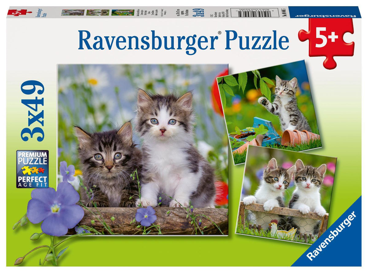 Kinderpuzzle 3x49 Teile - Süße Samtpfötchen