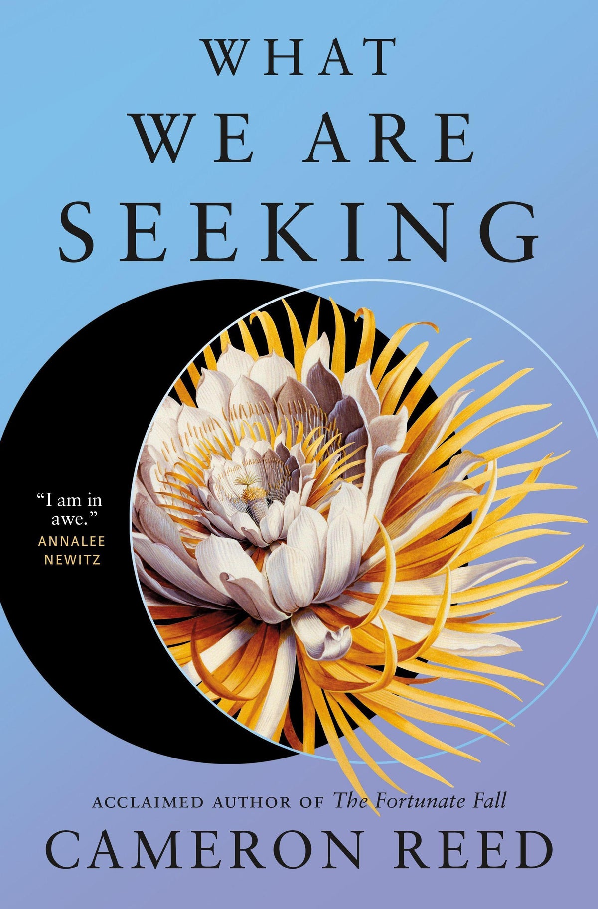 What We Are Seeking