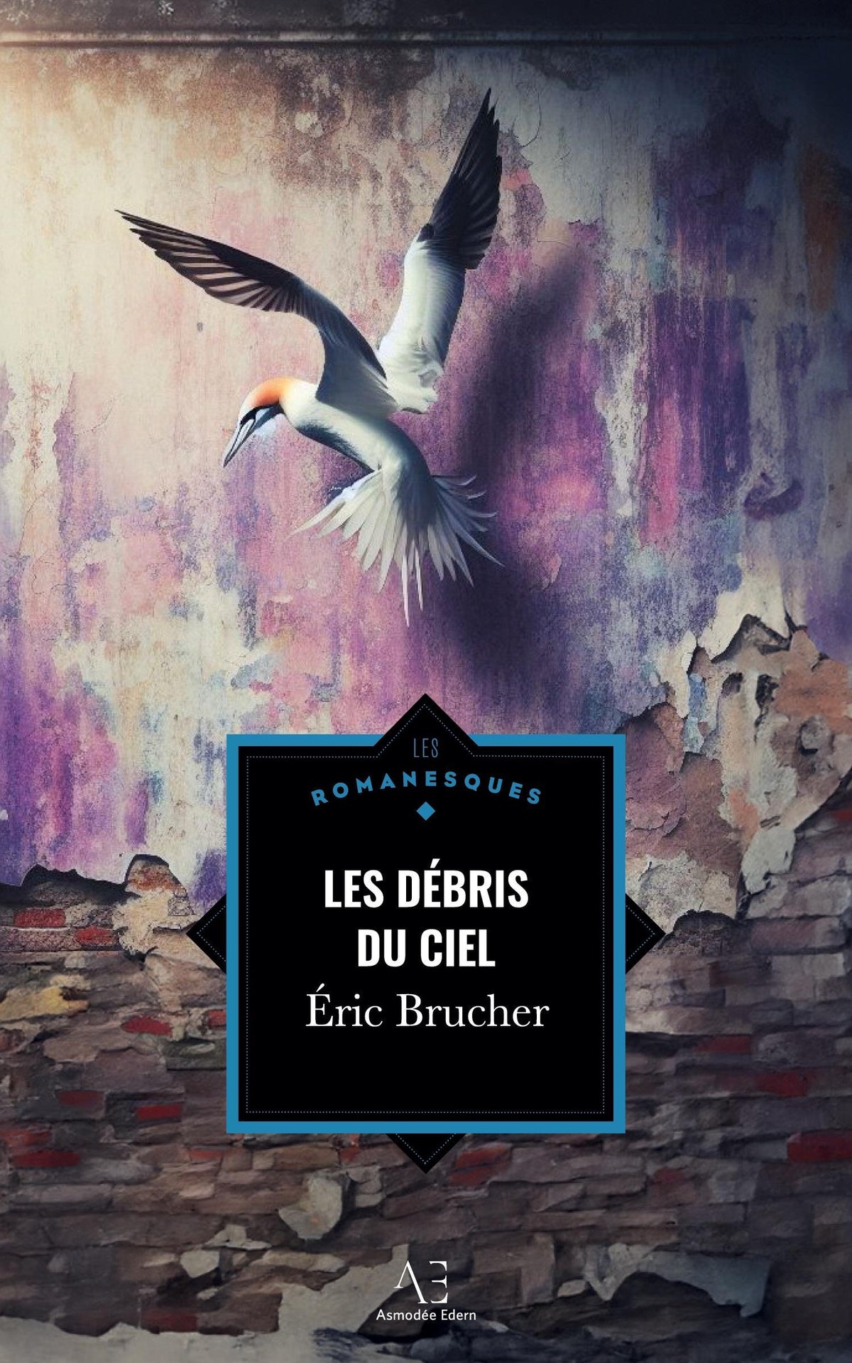 Les Débris du ciel