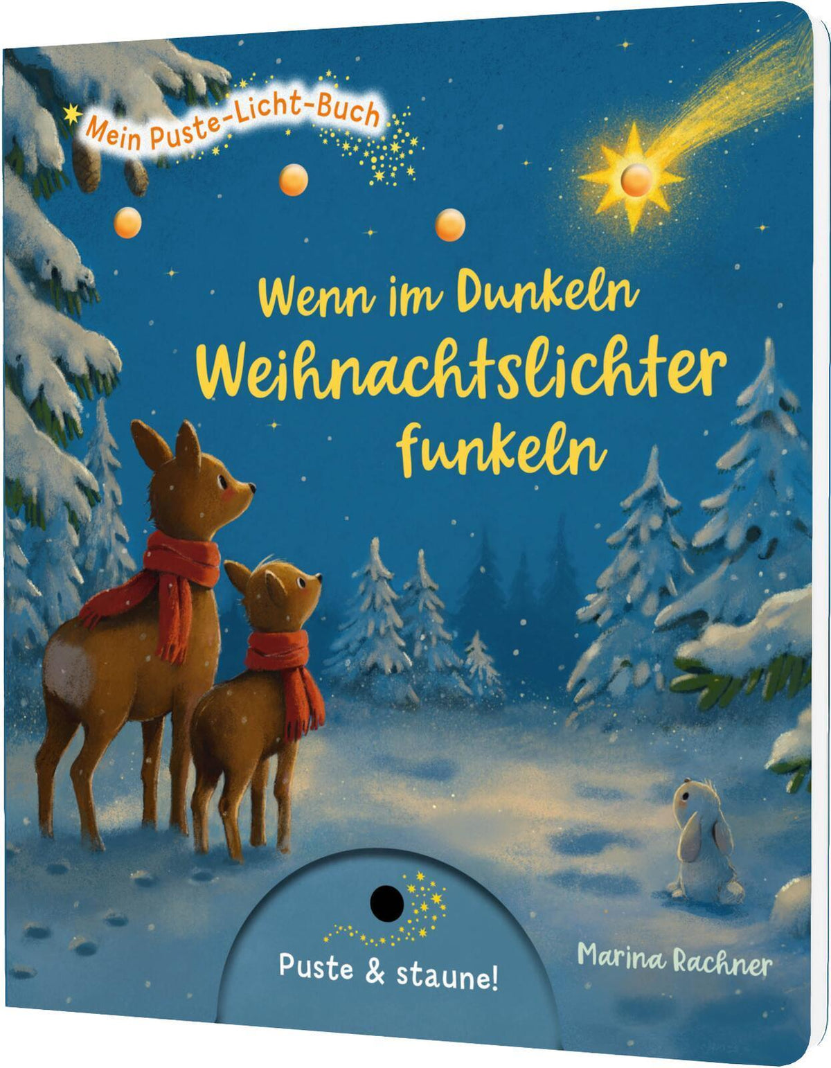 Tress, Sylvia/Mein Puste-Licht-Buch: Wenn im Dunkeln Weihnachtslichter funkeln