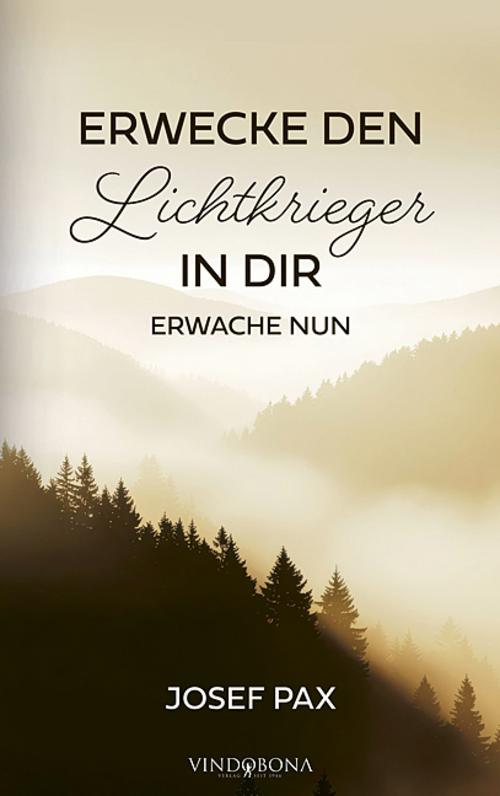 Erwecke den Lichtkrieger in dir
