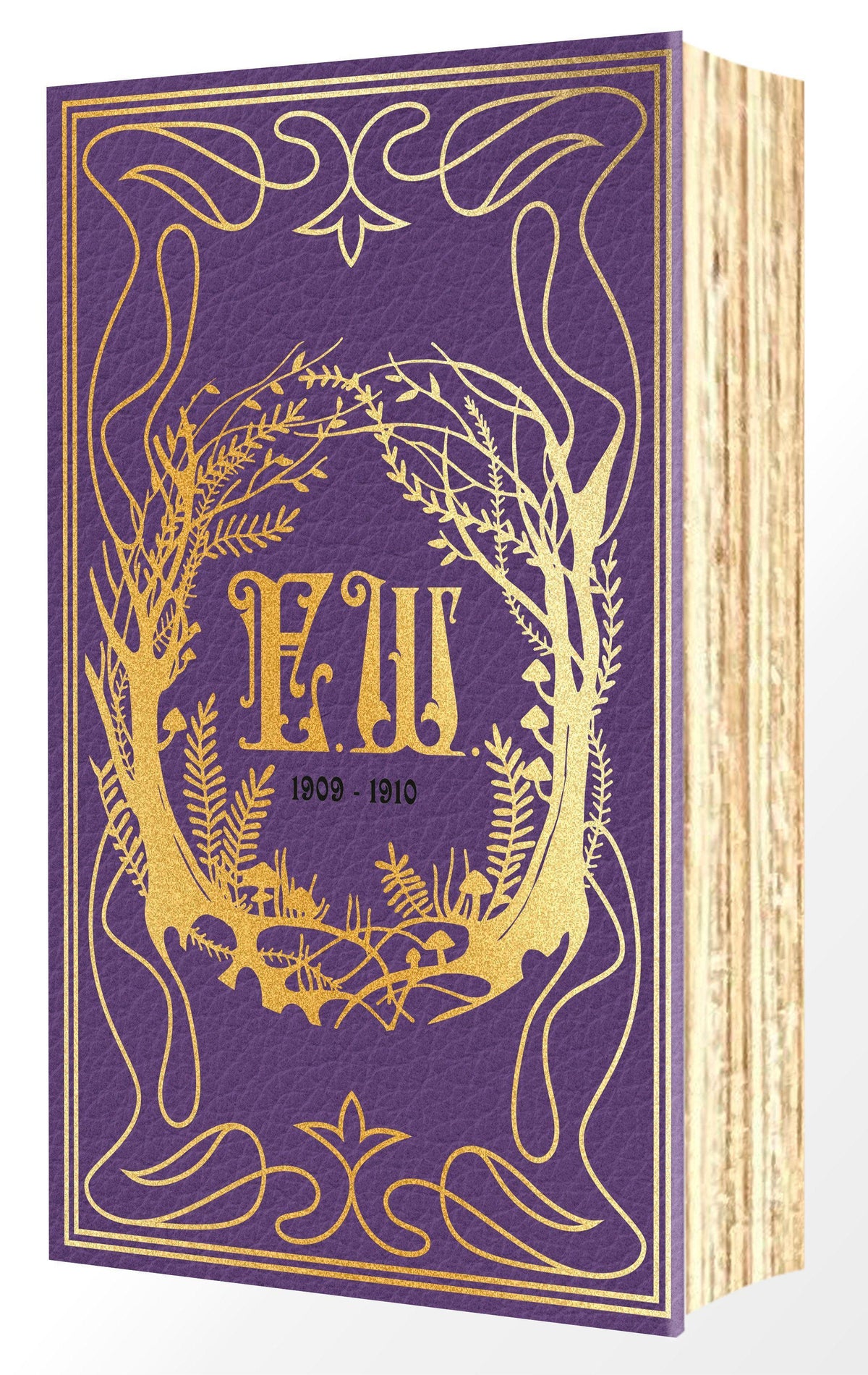 Emily Wilde's Encyclopaedia of Faeries (Deluxe Edition)