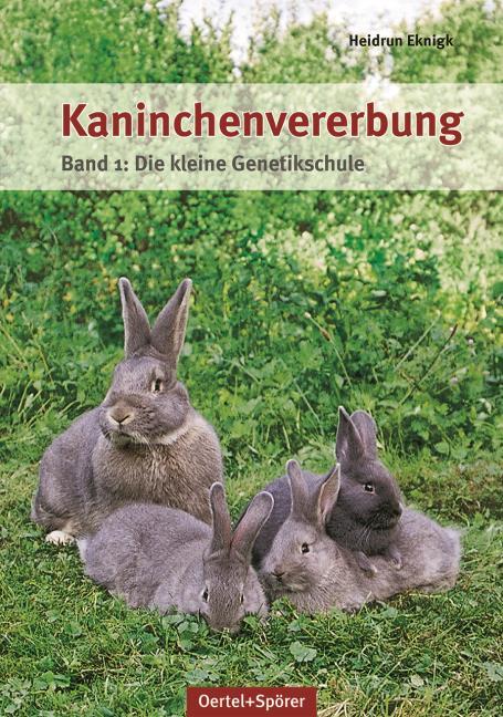 Kaninchenvererbung 01