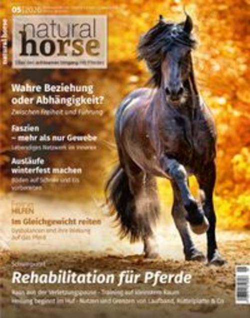 Natural Horse 65