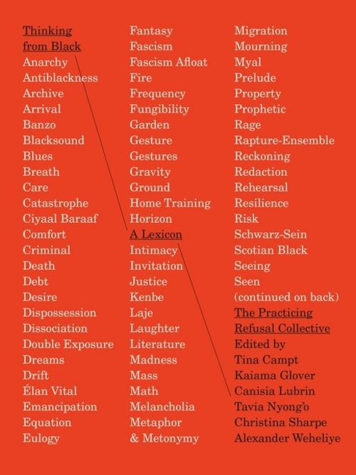 Thinking from Black: A Lexicon