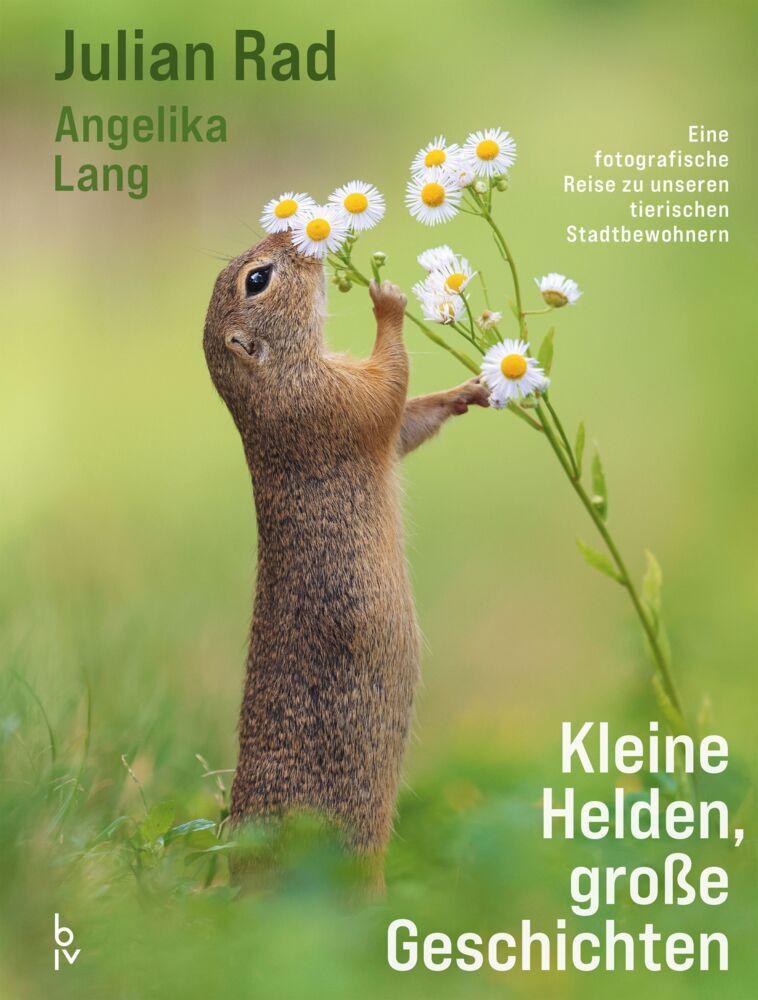 Kleine Helden – große Geschichten: Eine fotografische Reise in unsere Natur – Einzigartige Tier-Porträts und Wissenswertes zu Hamster, Feldmaus & Co. (GU Natur)