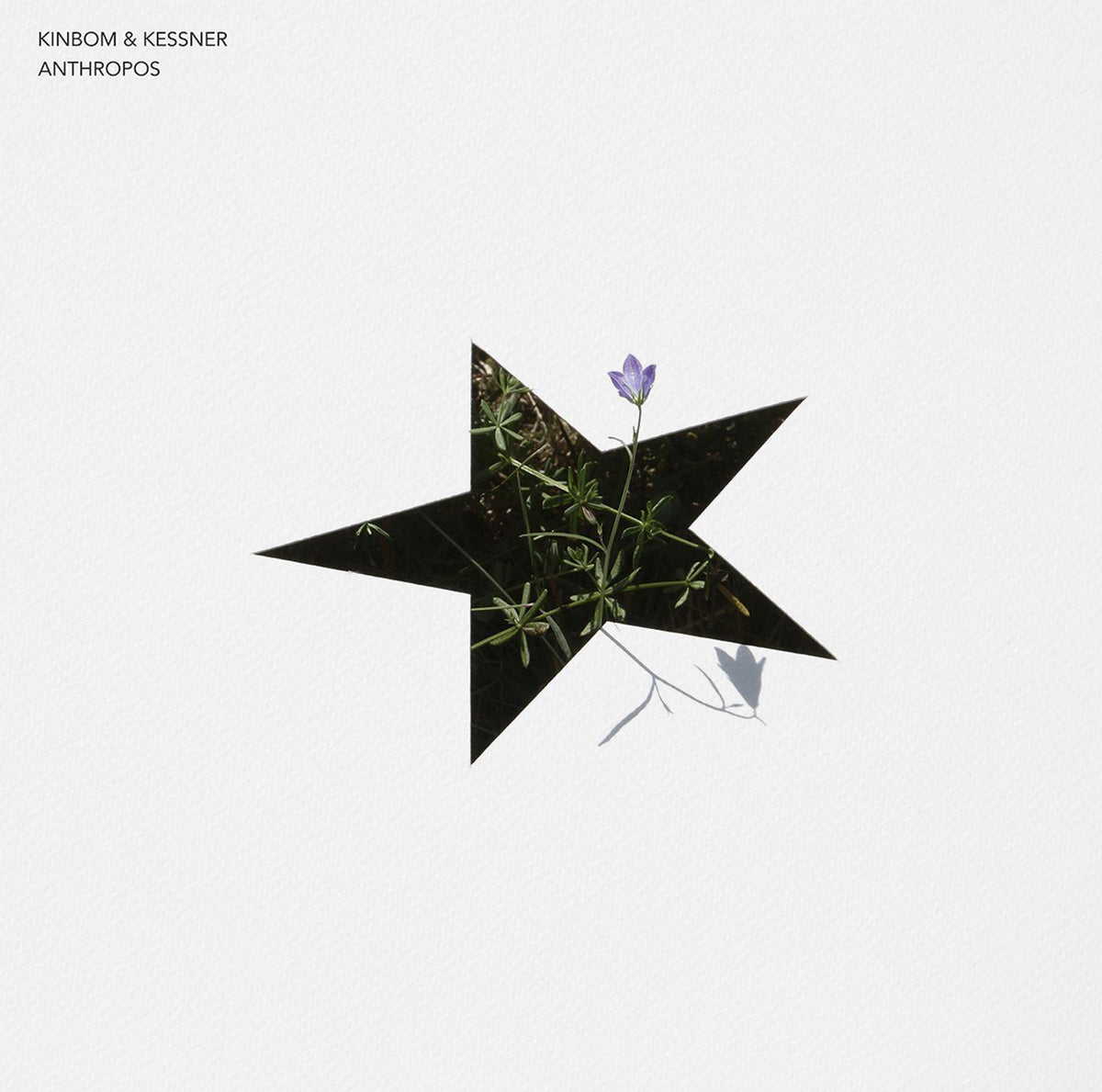 ANTHROPOS,Audio