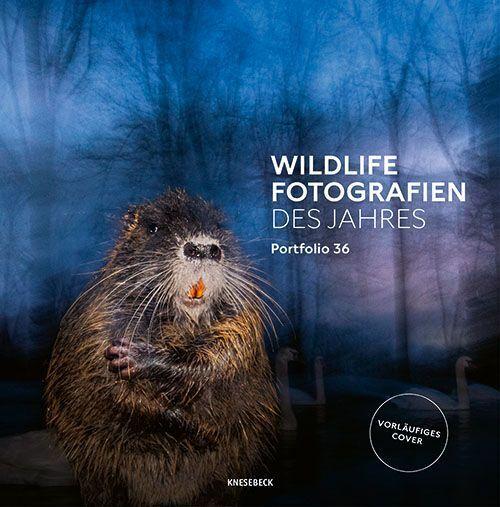 Wildlife Fotografien des Jahres - Portfolio 36