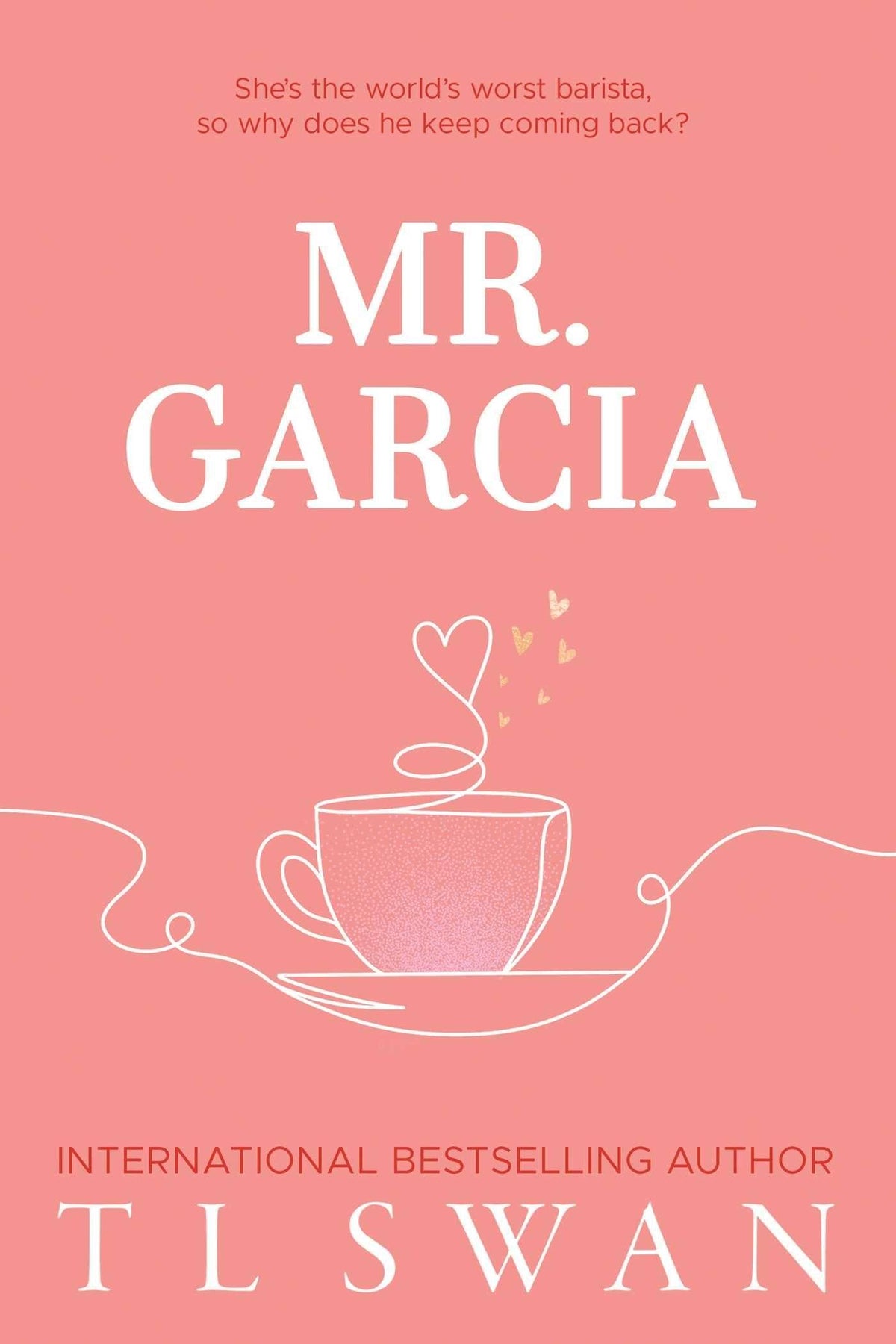 Mr. Garcia (Mr. Series Book 3)