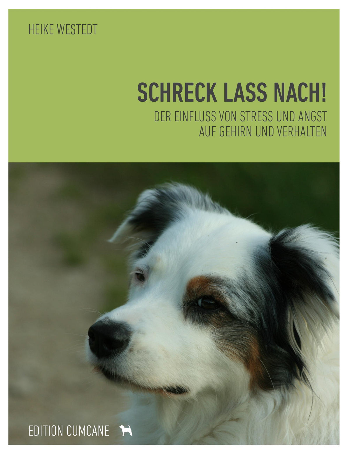 Schreck lass nach
