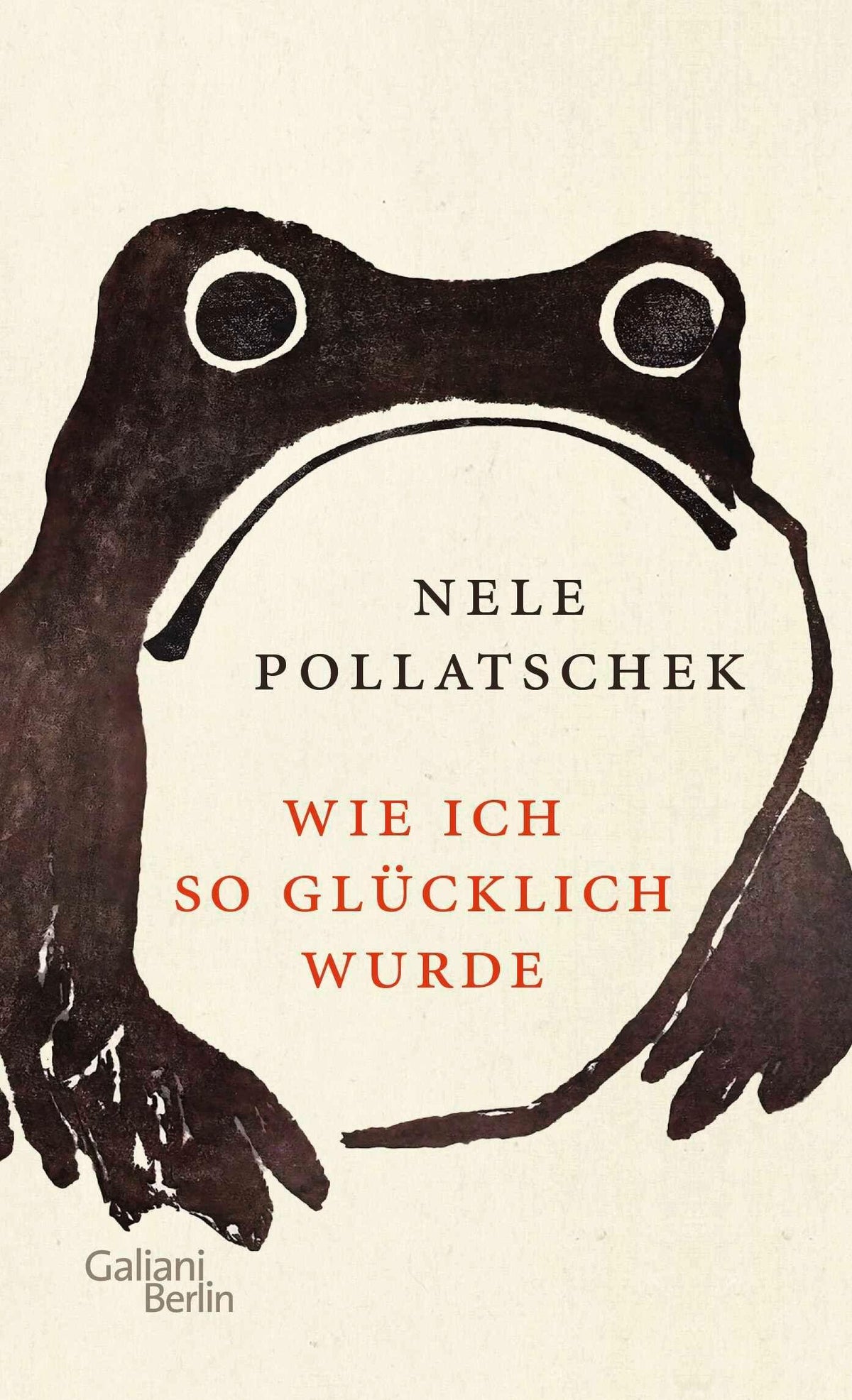 Pollatschek, Nele/Wie ich so glücklich wurde