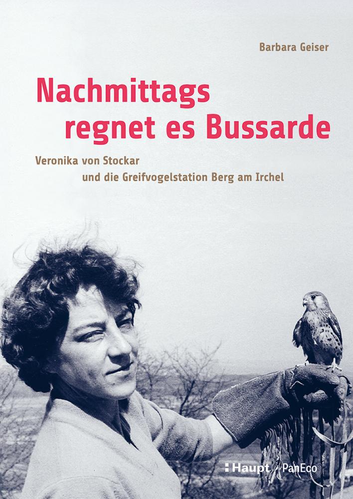 Nachmittags regnet es Bussarde