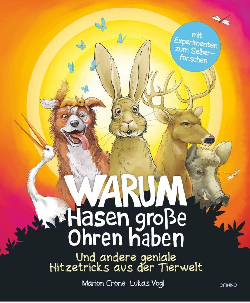 Warum Hasen große Ohren haben