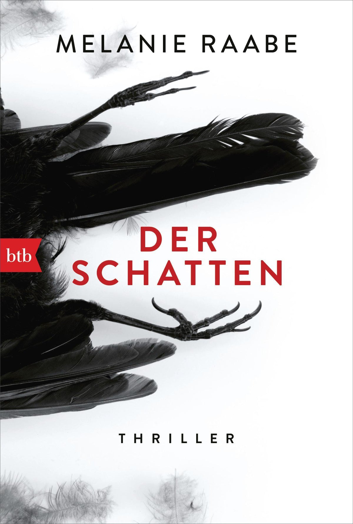 Raabe, Melanie/Der Schatten