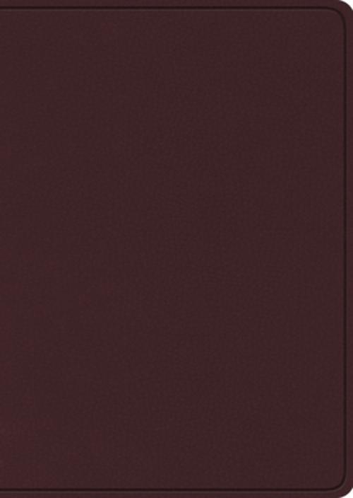 ESV Study Bible, Large Print (Bonded Leather, Burgundy)