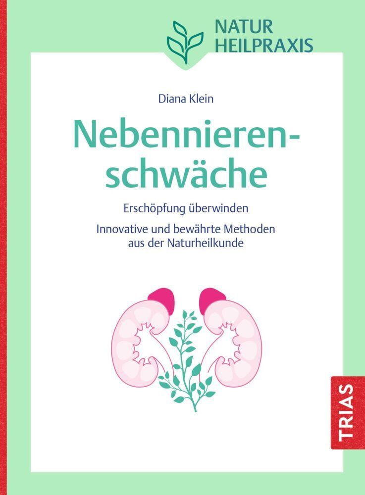 Naturheilpraxis Nebennierenschwäche: Erschöpfung überwinden. Innovative und bewährte Methoden aus der Naturheilkunde