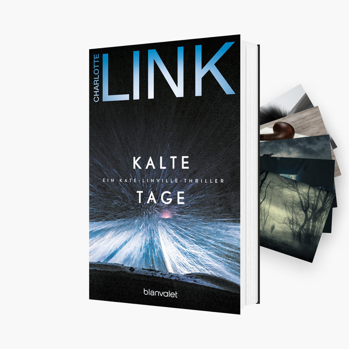 Der 6. Band der Kate Linville-Reihe: Kalte Tage + 1 exklusives Postkartenset – 1 [who:52]