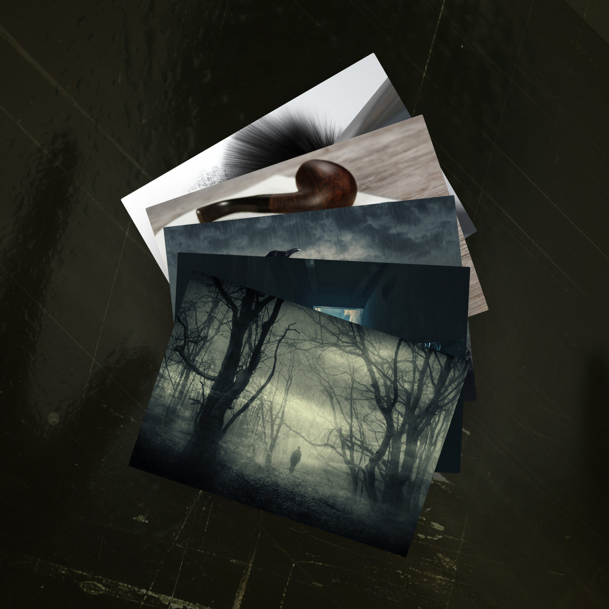 5 Postkarten - Düstere Thriller Atmosphäre mit Wald und Einsamkeit passend zum Psychothriller Die Therapie von Sebastian Fitzek