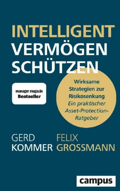 Intelligent Vermögen schützen: Wirksame Strategien zur Risikosenkung – ein praktischer Asset-Protection-Ratgeber