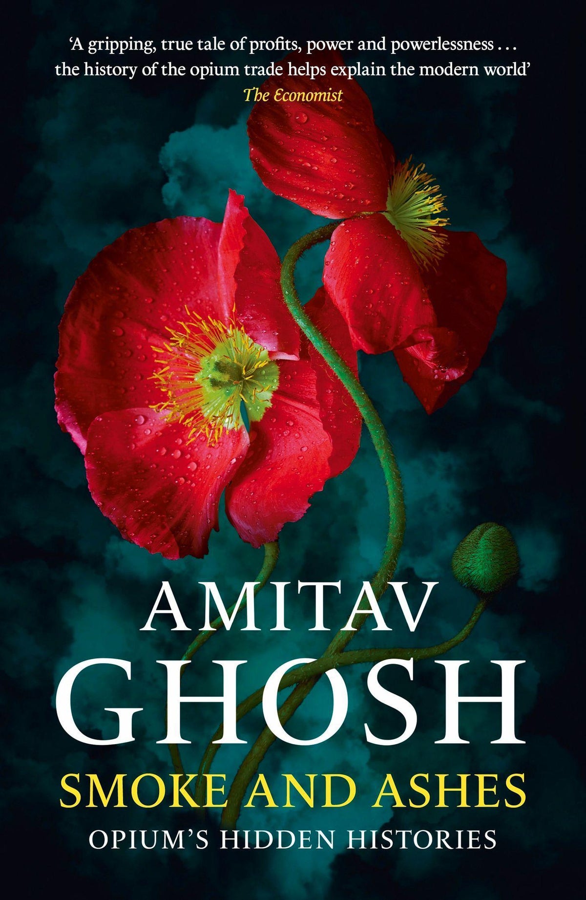 Buchcover: Smoke And Ashes