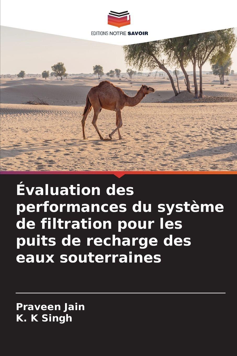 Buchcover: Évaluation des performances du système de filtration pour les puits de recharge des eaux souterraines